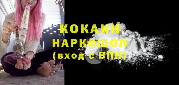 ГАЛЛЮЦИНОГЕННЫЕ ГРИБЫ Богданович