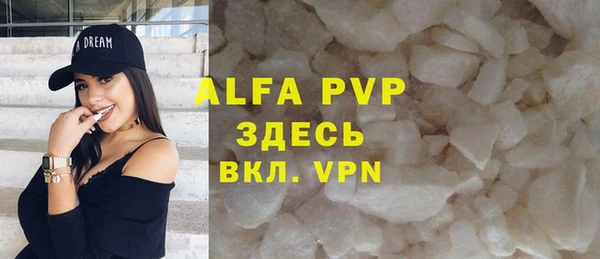 ГАЛЛЮЦИНОГЕННЫЕ ГРИБЫ Богданович