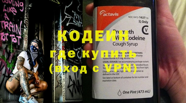 ГАЛЛЮЦИНОГЕННЫЕ ГРИБЫ Богданович
