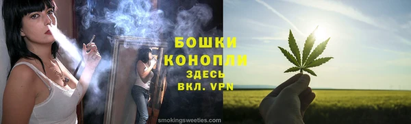 ГАЛЛЮЦИНОГЕННЫЕ ГРИБЫ Богданович