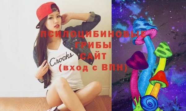 ГАЛЛЮЦИНОГЕННЫЕ ГРИБЫ Богданович
