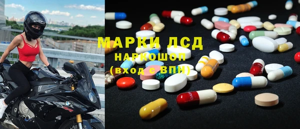 ГАЛЛЮЦИНОГЕННЫЕ ГРИБЫ Богданович