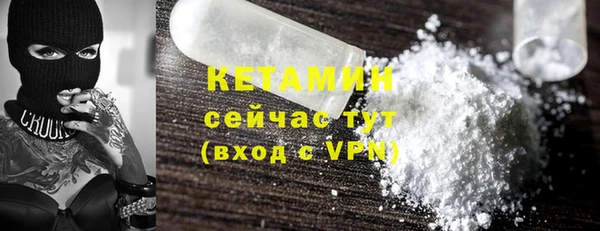 ГАЛЛЮЦИНОГЕННЫЕ ГРИБЫ Богданович