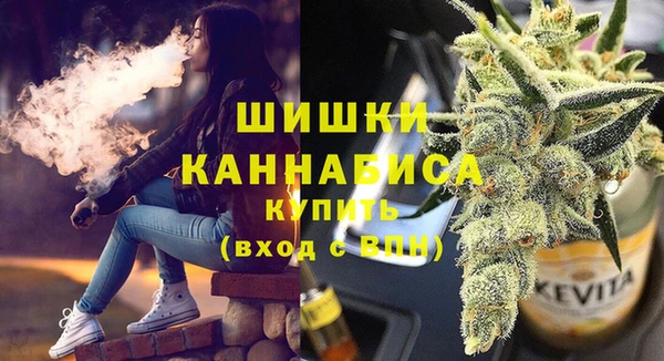 ГАЛЛЮЦИНОГЕННЫЕ ГРИБЫ Богданович