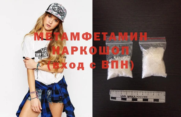 ГАЛЛЮЦИНОГЕННЫЕ ГРИБЫ Богданович