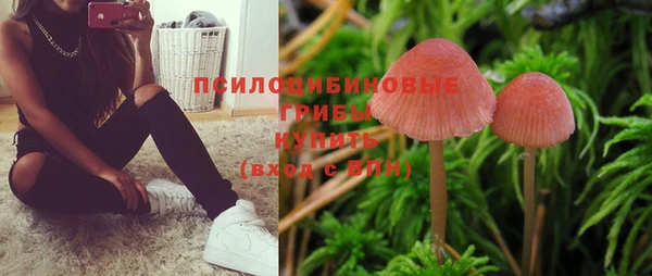 МДПВ Богородицк